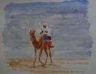 Camel Rider Abu Dhabi