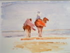 Camel Rider Abu Dhabi
